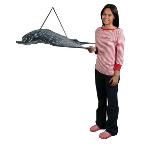 }_grGC / Spotted Eagle RayFRP ϐ y  Oph K[ft@j`[ u CeA IuWF 