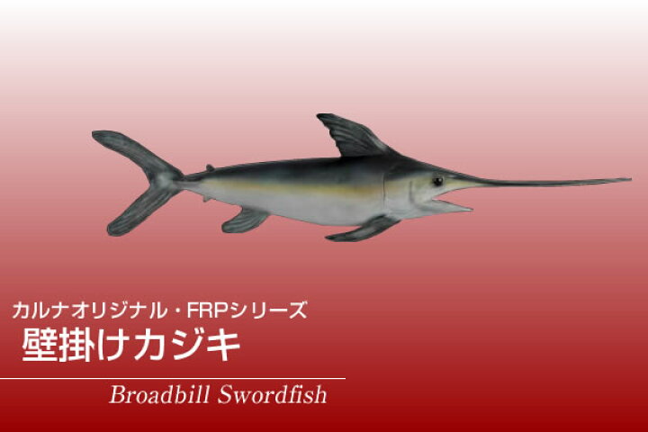 楽天市場】壁掛けカジキ / Broadbill SwordfishFRP 耐水 軽い 強い 