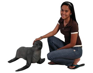 IbgZC̐Ԃ / Baby Fur Seal (Not in Aus.)FRP ϐ y  Oph K[ft@j`[ u CeA IuWF 