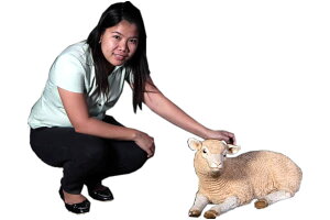 낮qЂ / Merino Lamb RestingFRP ϐ y  Oph K[ft@j`[ u CeA IuWF 