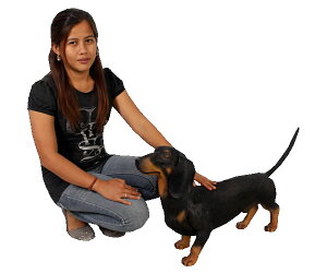 �_�b�N�X�t���h(�u���b�N) / DachshundFRP �ϐ� �y�� ���� ���O�p�h�� �K�[�f���t�@�j�`���[ �u�� �C���e���A �I�u�W�F ��������