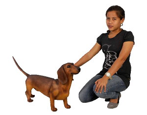 _bNXth(uE) / DachshundFRP ϐ y  Oph K[ft@j`[ u CeA IuWF 