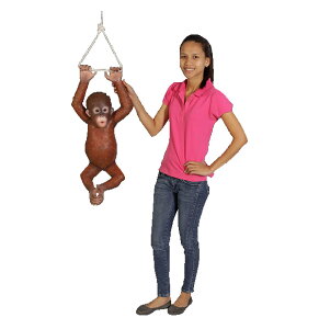 Ԃ炳IE[^̐Ԃ / Hanging Baby OrangutanFRP ϐ y  Oph K[ft@j`[ u CeA IuWF 