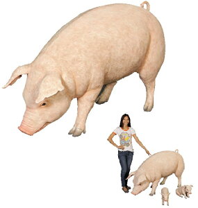ꂳ / Fat PigFRP ϐ y  Oph K[ft@j`[ u CeA IuWF 