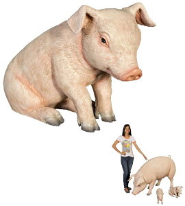 q / Sitting PigletFRP ϐ y  Oph K[ft@j`[ u CeA IuWF 