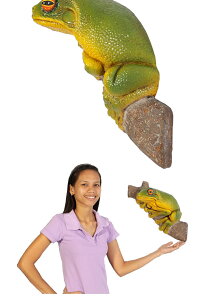 JKG / Tree Frog SmallFRP ϐ y  Oph K[ft@j`[ u CeA IuWF 