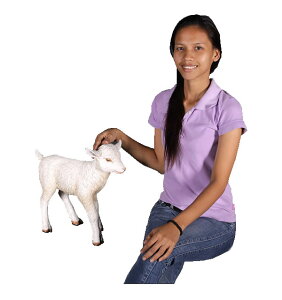 M̐ԂV / Goat Kid StandingFRP ϐ y  Oph K[ft@j`[ u CeA IuWF 