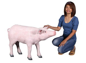  / Pig 100cmFRP ϐ y  Oph K[ft@j`[ u CeA IuWF 