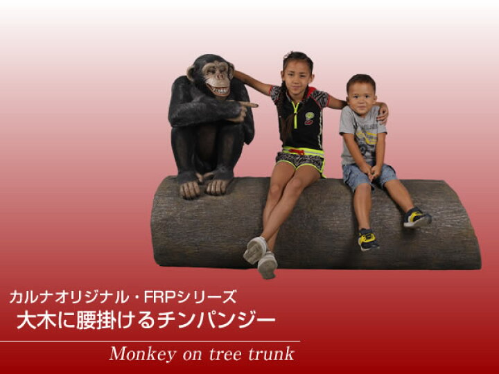 楽天市場】大木に腰掛けるチンパンジー / Monkey on tree trunkFRP 
