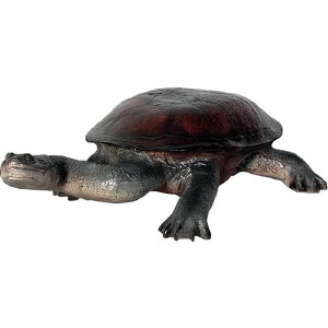̒T / Long-neck TurtleFRP ϐ y  Oph K[ft@j`[ X Cxg u CeA IuWF 