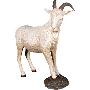 YMEN[ / Billy GoatFRP ϐ y  Oph K[ft@j`[ X Cxg u CeA IuWF 