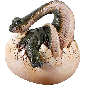zuLITEX / Baby Brachiosaurus HatchingFRP ϐ y  Oph K[ft@j`[ X Cxg u CeA IuWF 