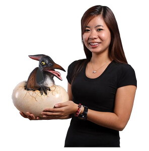 zvemh / Baby Pteranodon HatchingFRP ϐ y  Oph K[ft@j`[ X Cxg u CeA IuWF 