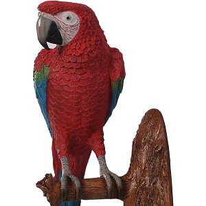 IE / Ǌ|pEbhamp;amp;u[ / ParrotFRP ϐ y  Oph K[ft@j`[ X Cxg u CeA IuWF 