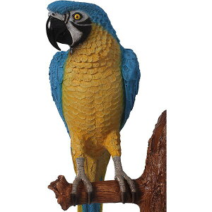 IEEǊ|pECG[u[ / ParrotFRP ϐ y  Oph K[ft@j`[ X Cxg u CeA IuWF 