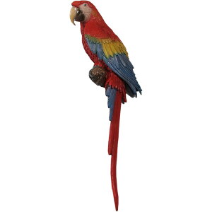 RSECR / Scarlet Macaw 100cm(Not in AUS / NZ)FRP ϐ y  Oph K[ft@j`[ X Cxg u CeA IuWF 