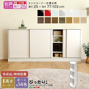 ˃V[Y Z~I[_[JE^[[҂肭 GhR[i[u s25cm