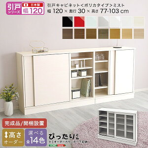 ˃V[Y Z~I[_[JE^[[҂肭 Lrlbg(|J^Cv ~Xg) 120cm×s30cm