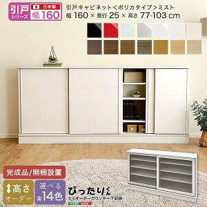 引戸シリーズ セミオーダーカウンター下収納ぴったりくん キャビネット(ポリカタイプ ミスト) 幅160cm×奥行25cm