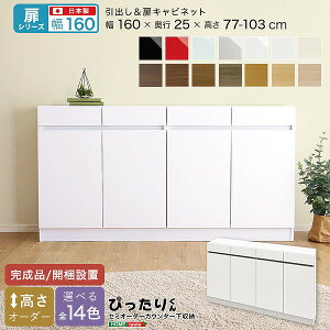 扉シリーズ セミオーダーカウンター下収納ぴったりくん キャビネット 幅160cm×奥行25cm