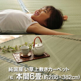 純国産 い草 上敷き カーペット 双目織 『松』 本間6畳(約286×382cm）