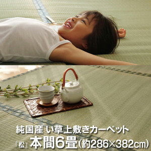 Y  ~ J[ybg oڐD wx {6(286×382cmj