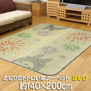 Y ƂȂ̃gg O w͂Ȃсx 140x200cm Wu  䑐 rO  SU }bg { 