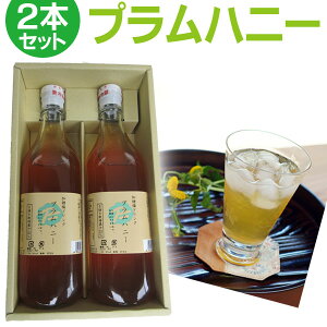 vnj[1{(500ml) 2{Zbg(500mlx2{)߃^Cv ~hN ~hN ~W[X Mtg  Ε hV̓ ̓ ̓ j j