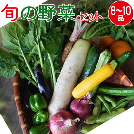産地直送 旬の野菜セット(8～10品目)有機質肥料 野菜 詰め合わせ 奈良 和歌山 三重 送料無料