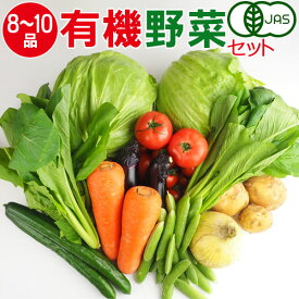 産地直送 有機野菜セット(8～10品目)有機栽培 野菜 詰め合わせ 有機野菜 セット オーガニック 奈良 送料無料