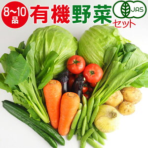 産地直送 有機野菜セット(8〜10品目)有機栽培 野菜 詰め合わせ 有機野菜 セット オーガニック 奈良 送料無料
