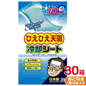 冷却シート10時間大人用30箱入り(16枚x30箱＝480枚)ひえひえ天国(大容量) 送料無料