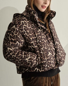 yP5{12/15zIp[hȃWPbg y V[gWPbg qE Ip uE t[hO\ 2way y g V[g ]Ԓʋ ۈ牀̑}