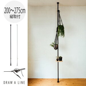 ˂_ h[AC 003 eVbhC 200`275cm [ R[gnK[ Lk ς_  c DRAW A LINE tension rod ƎE