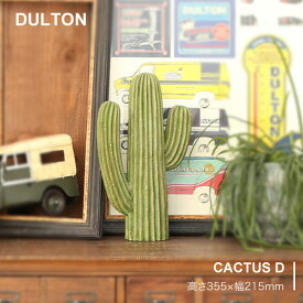 ダルトン Dulton オブジェ カクタス スタイルタイプD CACTUS D 合成樹脂 フェイク サボテン