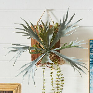 tFCNO[ EH[nMO rJNV_ AJVA ؐ EH[A[g nLO ݂艺 Ǌ| A[eBtBVvc tFCNvc  lH A A[gO