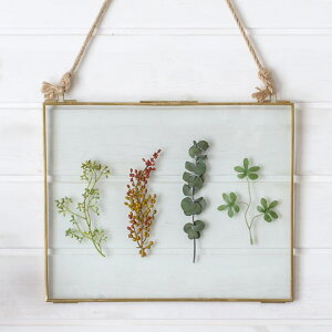 yő2000~N[|z KXƐ^J nMOtHgt[ Brass uX ʐ^  tHgX^h Ǌ| Vv ͂TCY ݂邷 2 |XgJ[h S[h KXt