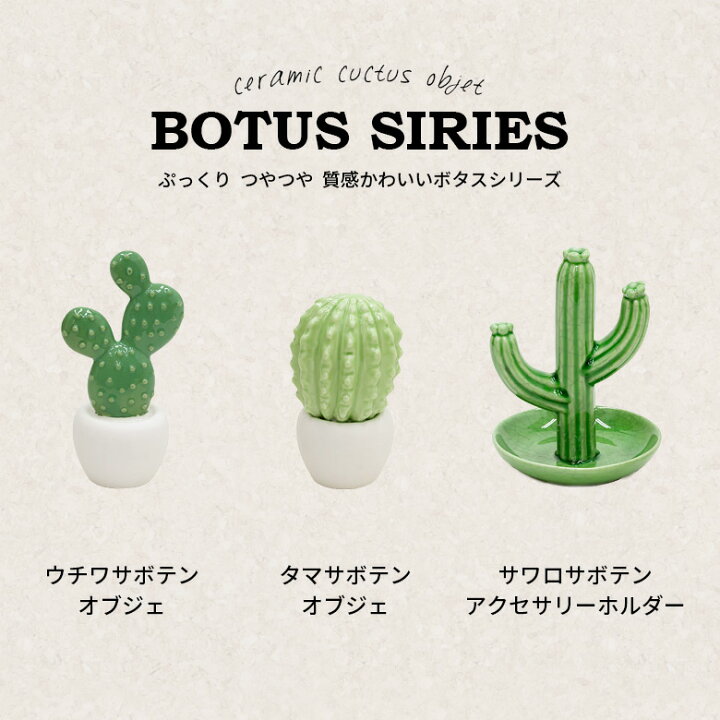 閉塞 立ち向かう 肺 サボテン 置物 陶器 ヒゲクジラ 有効 補助