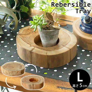 yő500~N[|z `[NEbh̃o[VugC L-5cm 20×5cm g[ gC Xe[W ؐ Vv i` fBXvC IuWF CeA  킢 X Jt