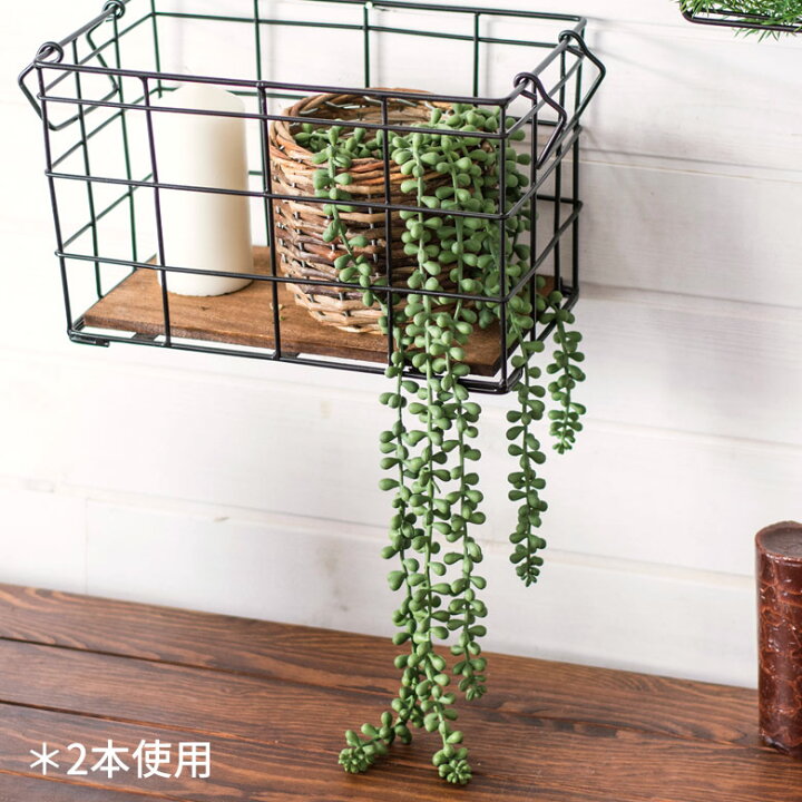 楽天市場 グリーンネックレス フェイクグリーン 観葉植物 吊るす 垂らす 壁掛け インテリア 雑貨 エアープランツ 多肉植物 フェイク ハンギング リアル ガーランド 造花 アメリカン ナチュラル インドア アウトドア リゾート アクアリウム 観賞用 おしゃれ かわいい