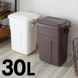 ダウンロック式 フタ付き ダストボックス 30L ゴミ箱 ごみ箱 屋外 トラッシュカン ふた付き キッチン 30リットル ホワイト 白 ブラウン 茶 日本製 国産 ポリプロピレン 樹脂 見えない角 スクエア シンプル おしゃれ インテリア [91131]