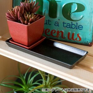 観葉植物 受け皿 おしゃれ 鉢の人気商品 通販 価格比較 価格 Com 観葉植物 受け皿 おしゃれ 鉢の人気商品 通販 価格比較 価格 Com