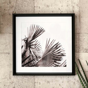 A[gpl mN [t {^jJ 50×50cm Ǌ| CeA mg[ A[gt[  G z V t vc O[ ʐ^ A[g|X^[ Ǐ G EH[