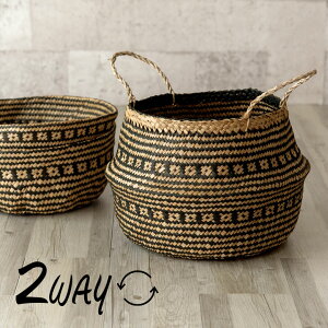 oXPbg t 2way V[OX  [^ a35cm ubN ו  oXPbg h[oXPbg [oXPbg  [ k  AWA G AWA