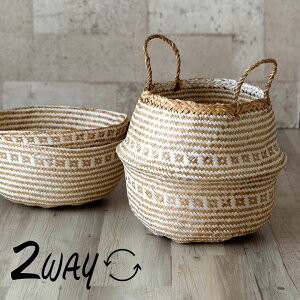 oXPbg t 2way V[OX  [^ a35cm zCg ו  oXPbg h[oXPbg [oXPbg  [ k  AWA G AWA