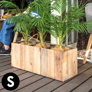 v^[Jo[ v^[Jo[` v^[Ebh 3 5×3 Ci[|bgt ꌊȂ ؐ ^ 66.5cm s24.5cm 26cm Botanique {^j[N Jo[ AؔJo[ X