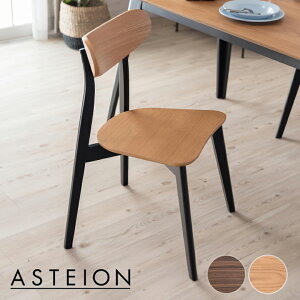 yő2000~N[|z _CjO`FA ؐ EH[ibg ʍ44cm Asteion AXeBI `FA _CjO H֎q ֎q CX VR Ebh 1l| 1P 1lp `FA[ _CjO`F