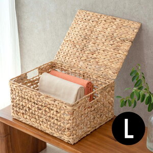  oXPbg EH[^[qVX LTCY ӂt  W 43cm D 35cm H 23cm JS [ [oXPbg [{bNX ו  G ߗ [  P[X nh  t 