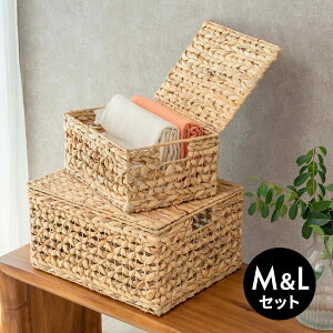  oXPbg EH[^[qVX M L 2Zbg ӂt  W 43cm D 35cm H 23cm JS [oXPbg [{bNX ו  G ߗ [  P[X nh  t 