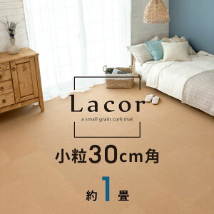 RN}bg i VR 8mm R 30cm^Cv Lacor 18Zbg cn ]ˊ 1  RN J[ybg WCg }bg f  ` ۉ ՔM h  LYh~ ]